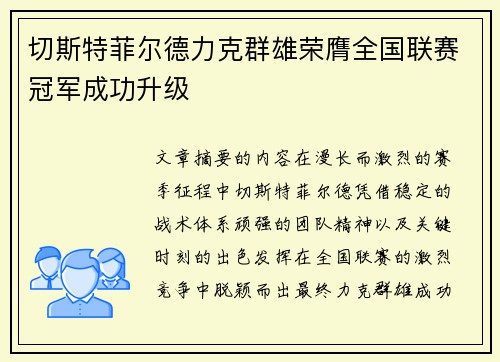 切斯特菲尔德力克群雄荣膺全国联赛冠军成功升级 切斯特菲尔德力克群雄荣膺全国联赛冠军成功升级